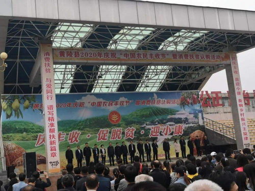 促增收，助脫貧——雙龍鎮參加全縣消費扶貧產品展銷會，開展經營助力打贏脫貧攻堅戰