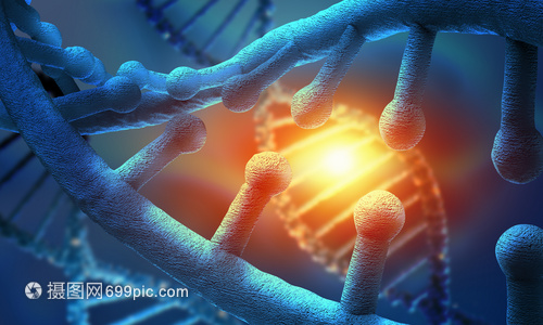 藍色背景下的生命密碼 DNA分子的生物化學(xué)探秘