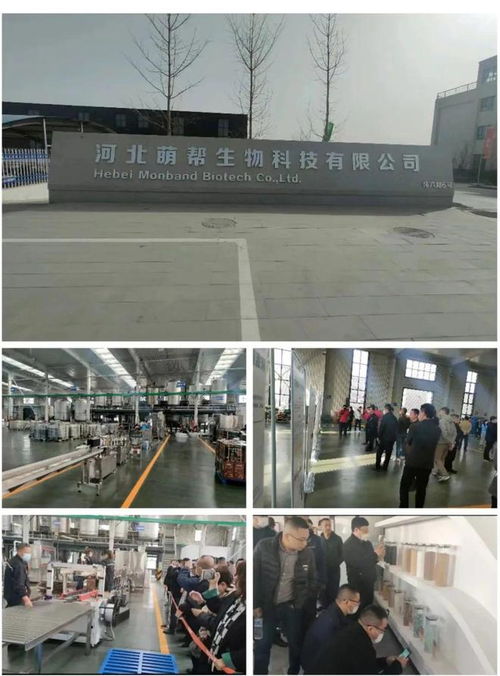 技術創新引領市場 撬動生物刺激劑類物質重組，萌幫股份發展步入新階段